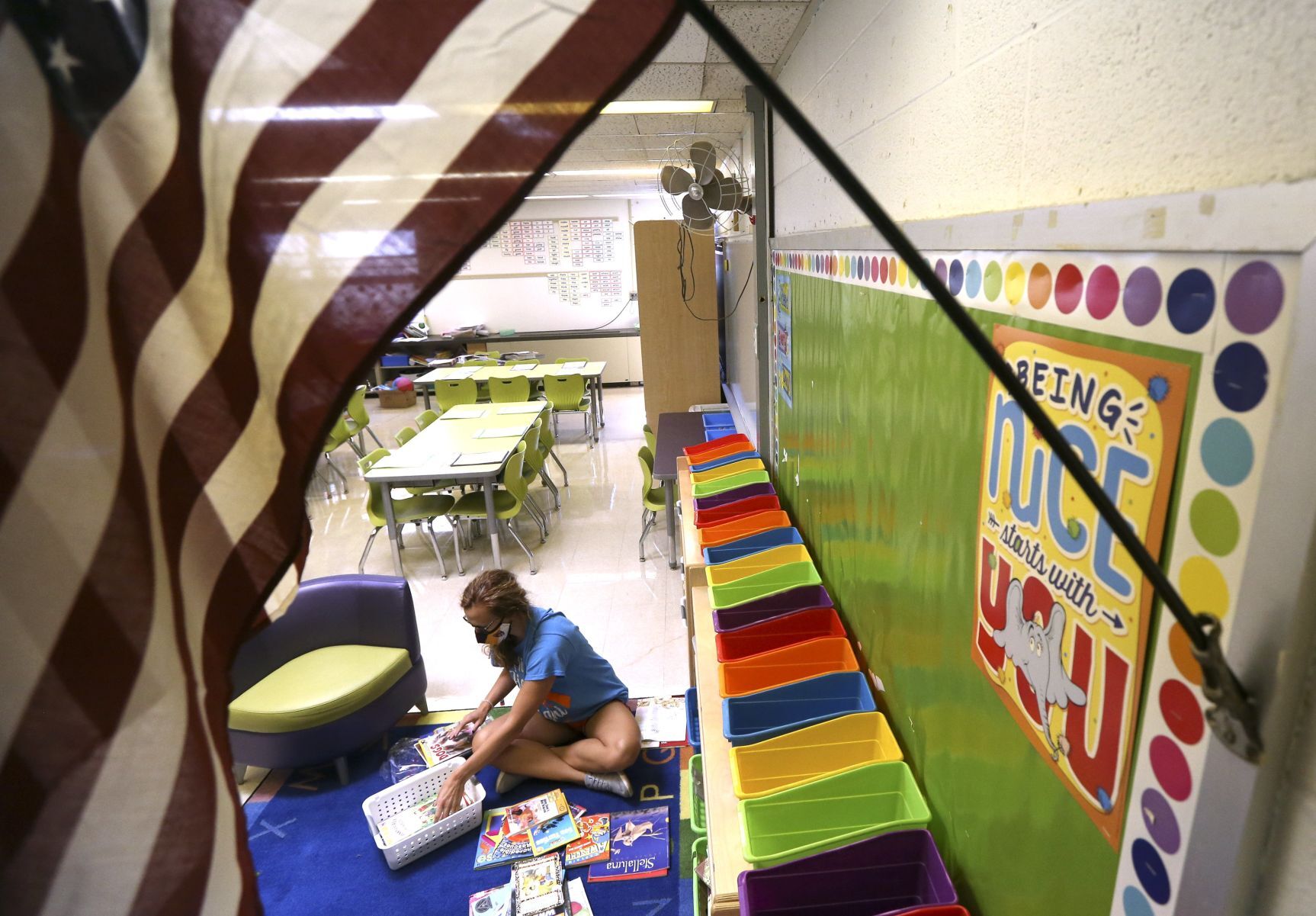 Organizing classroom library